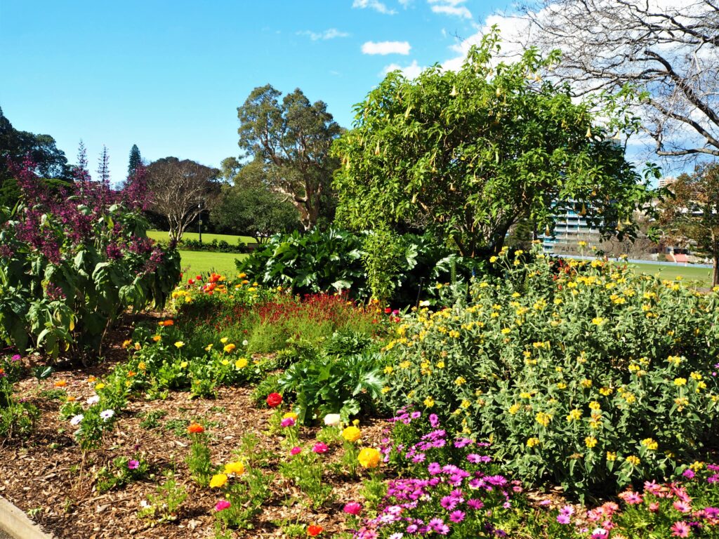 royal botanical gardens in sydney