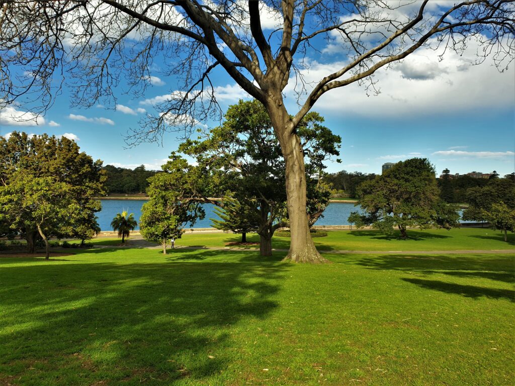 royal botanical gardens in sydney