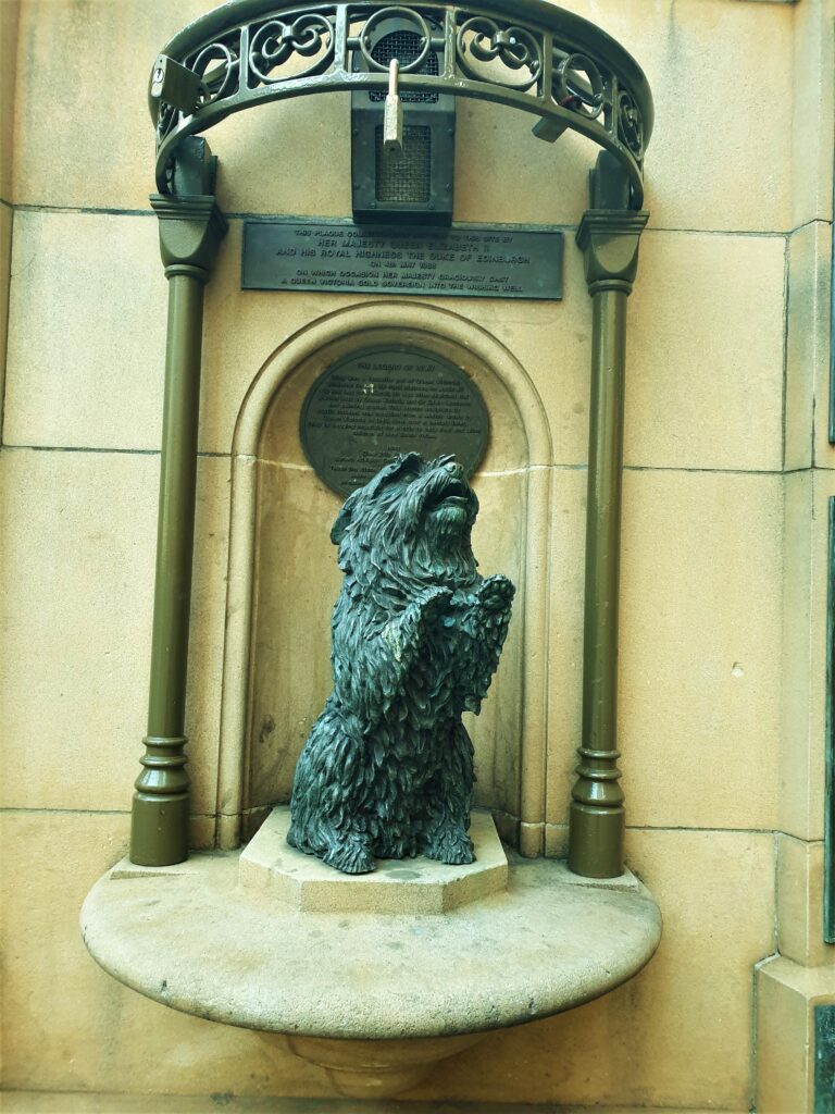 QVB