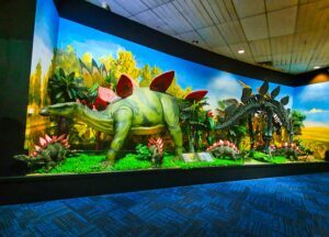 national dinosaur museum in canberra