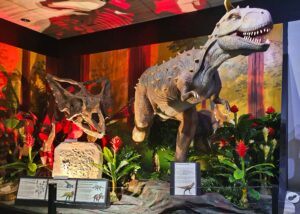 NATIONAL DINOSAUR MUSEUM IN CANBERRA