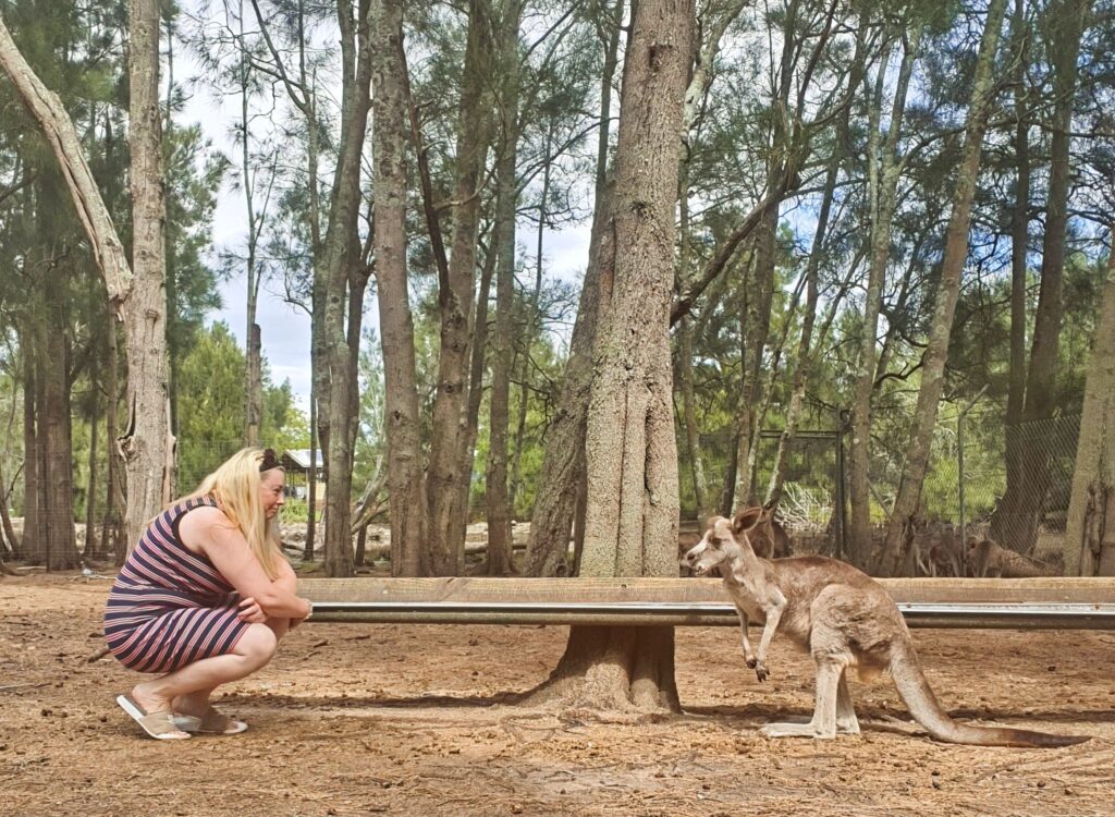 Birdland Animal Park in Batemans Bay