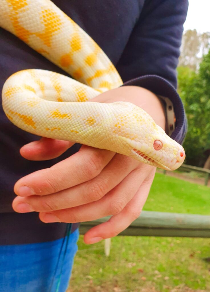 Birdland Animal Park in Batemans Bay