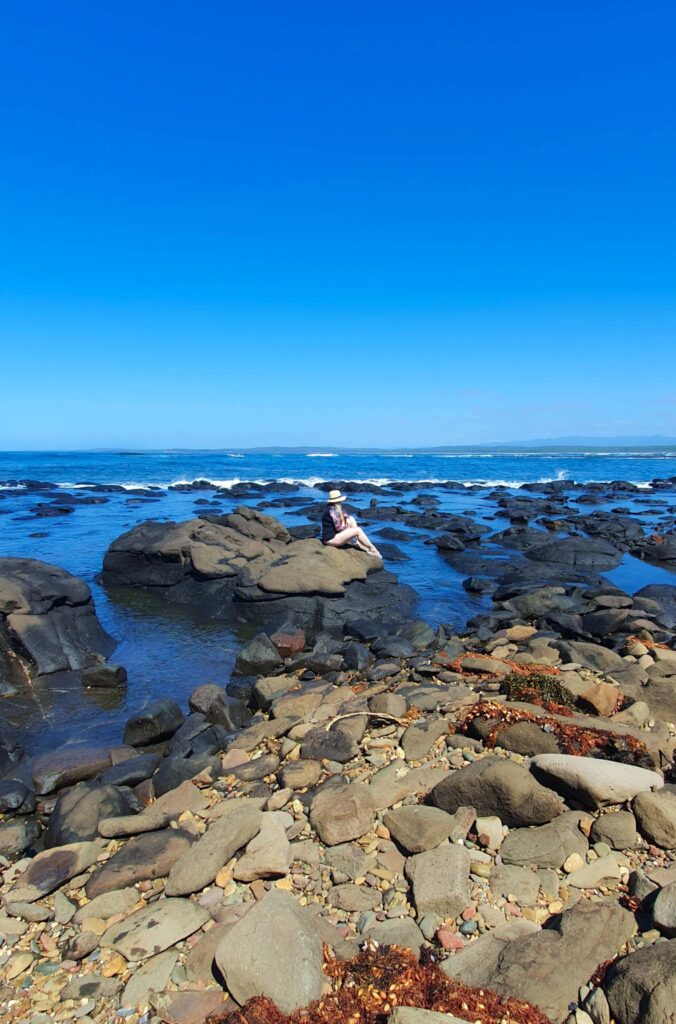 Sculpture Walk in Batemans Bay