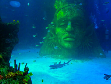Sea Life Centre in Manchester