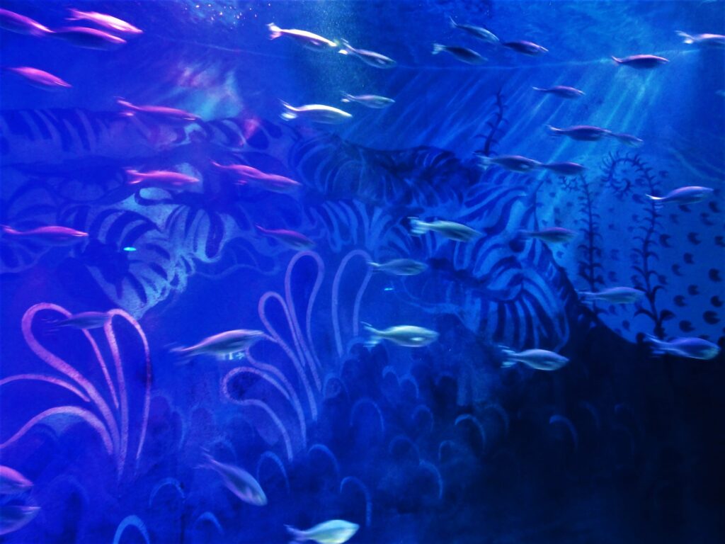 Sea Life Centre in Manchester