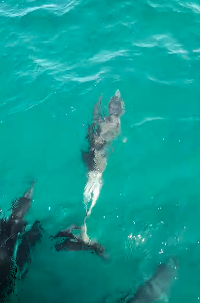 Jervis Bay