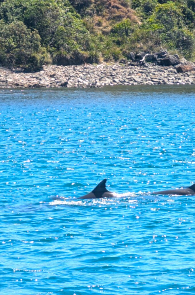 Jervis Bay