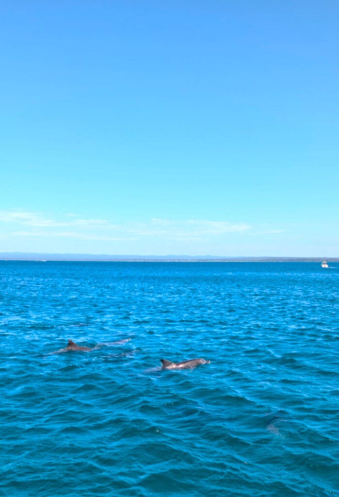 Jervis Bay