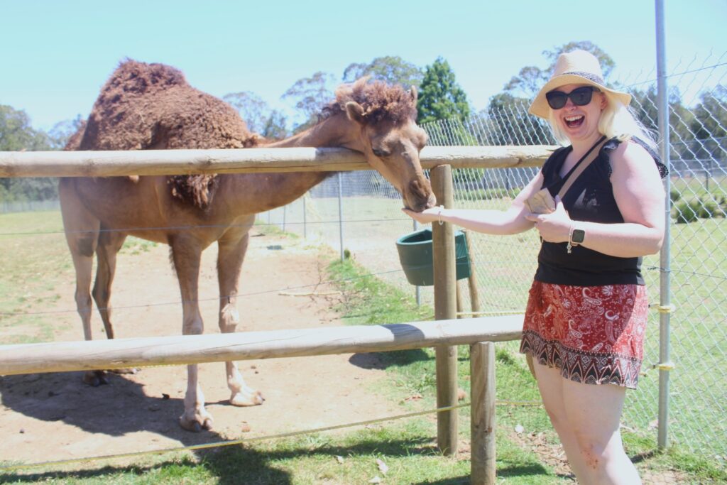 THE ULTIMATE TRAVEL GUIDE TO BATEMANS BAY