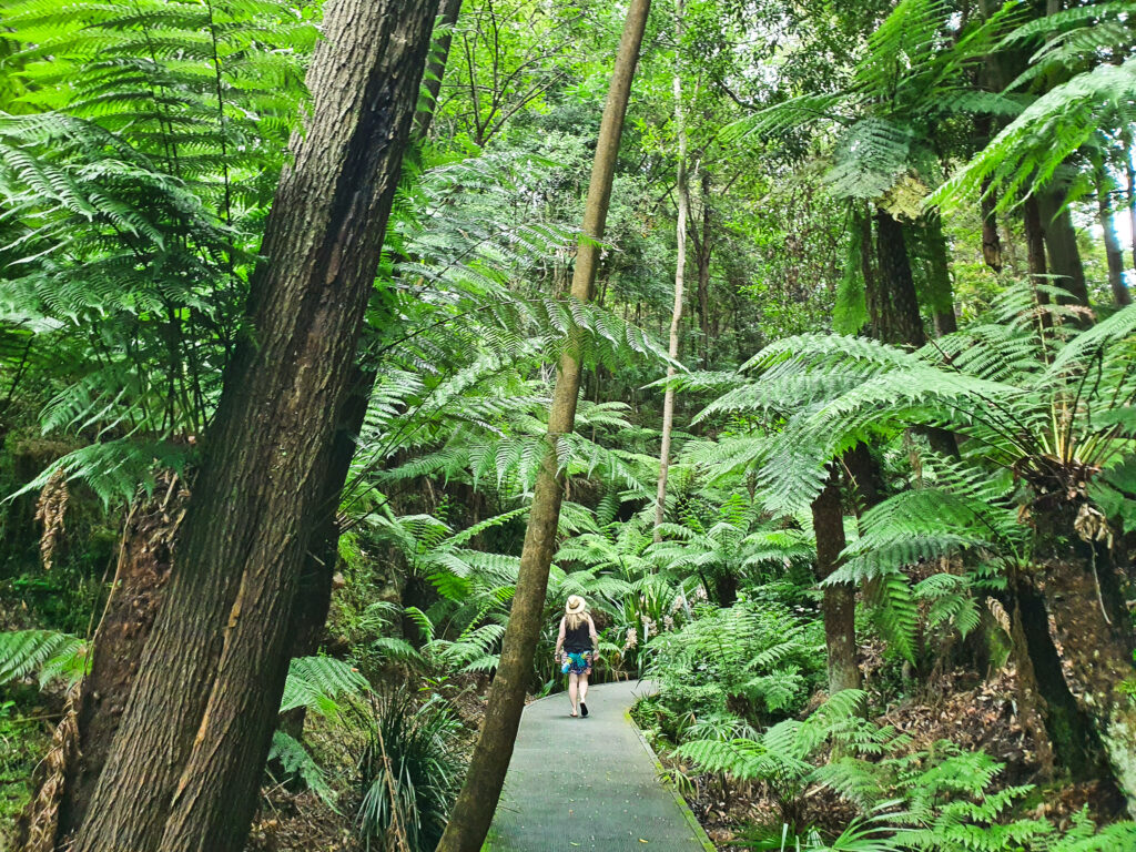 discovering Canberra