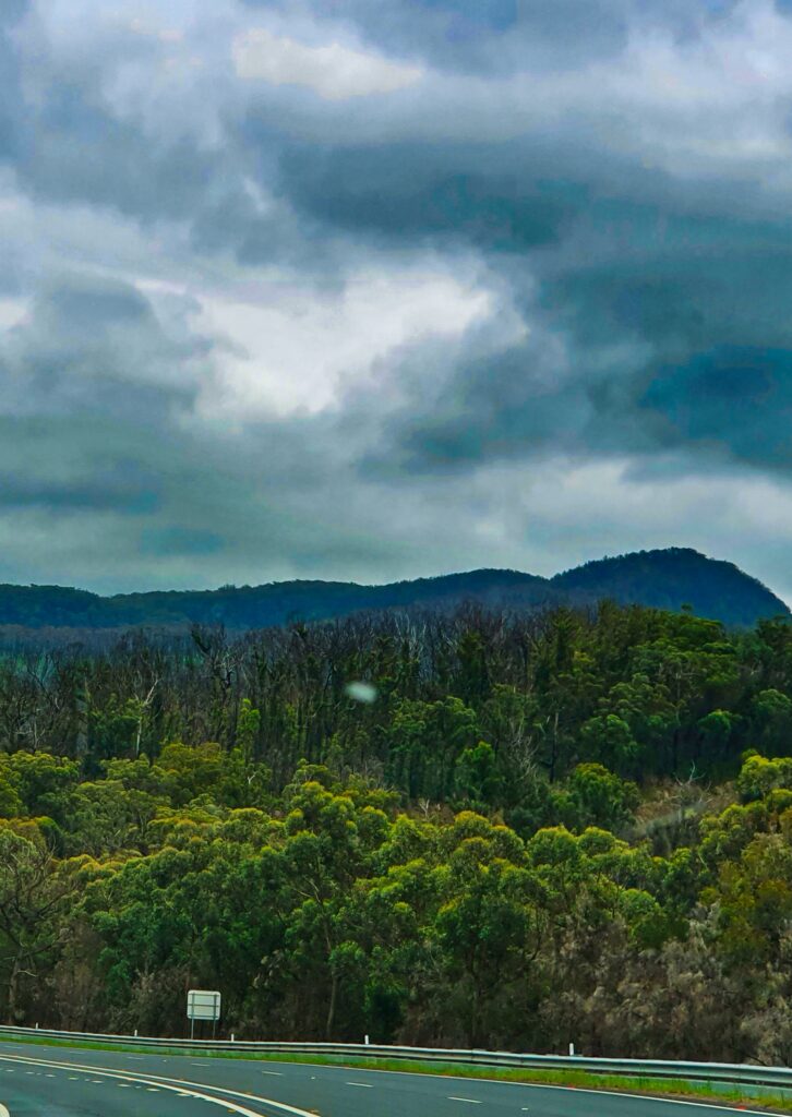 discovering Canberra