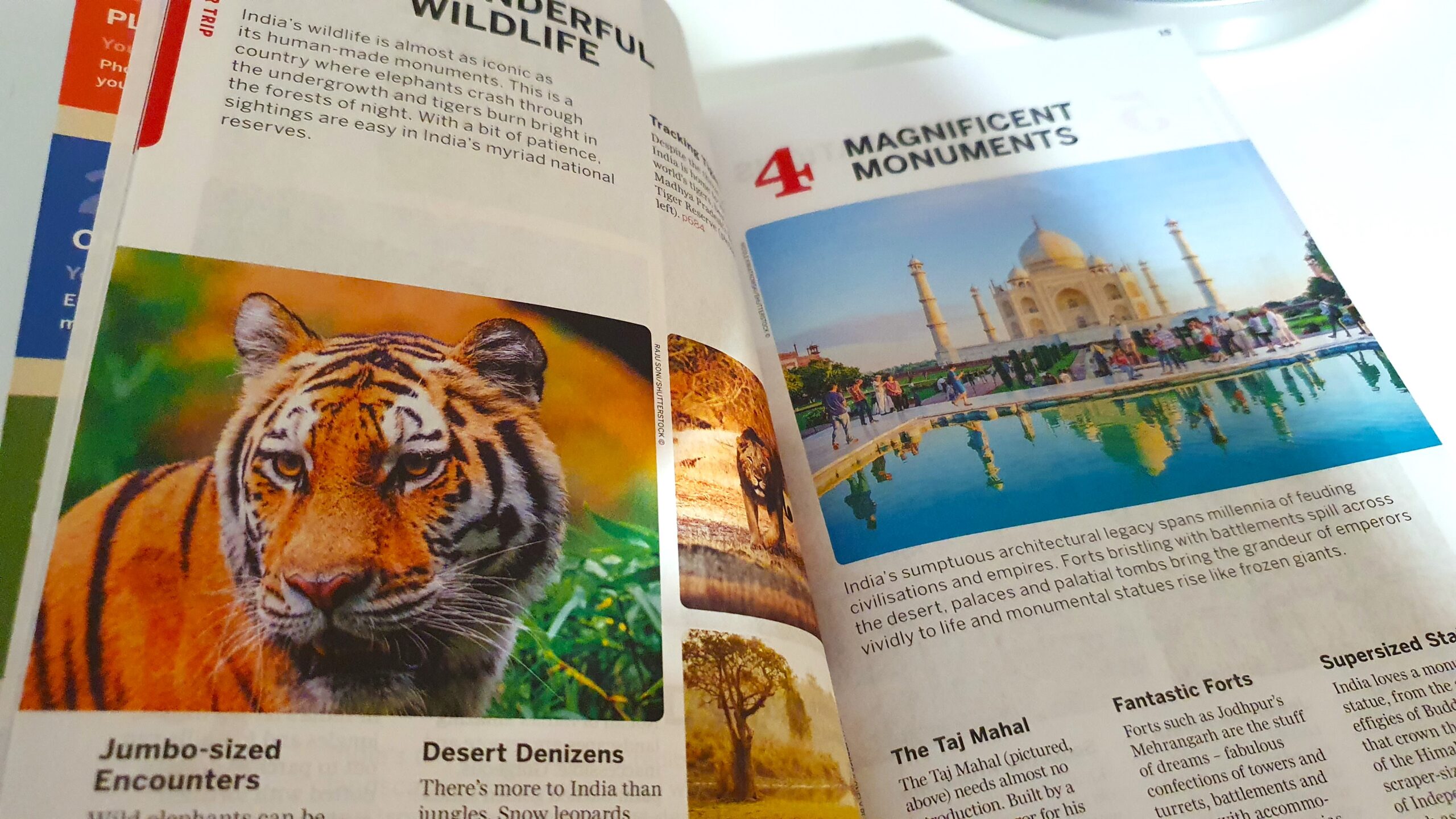 Lonely Planet India