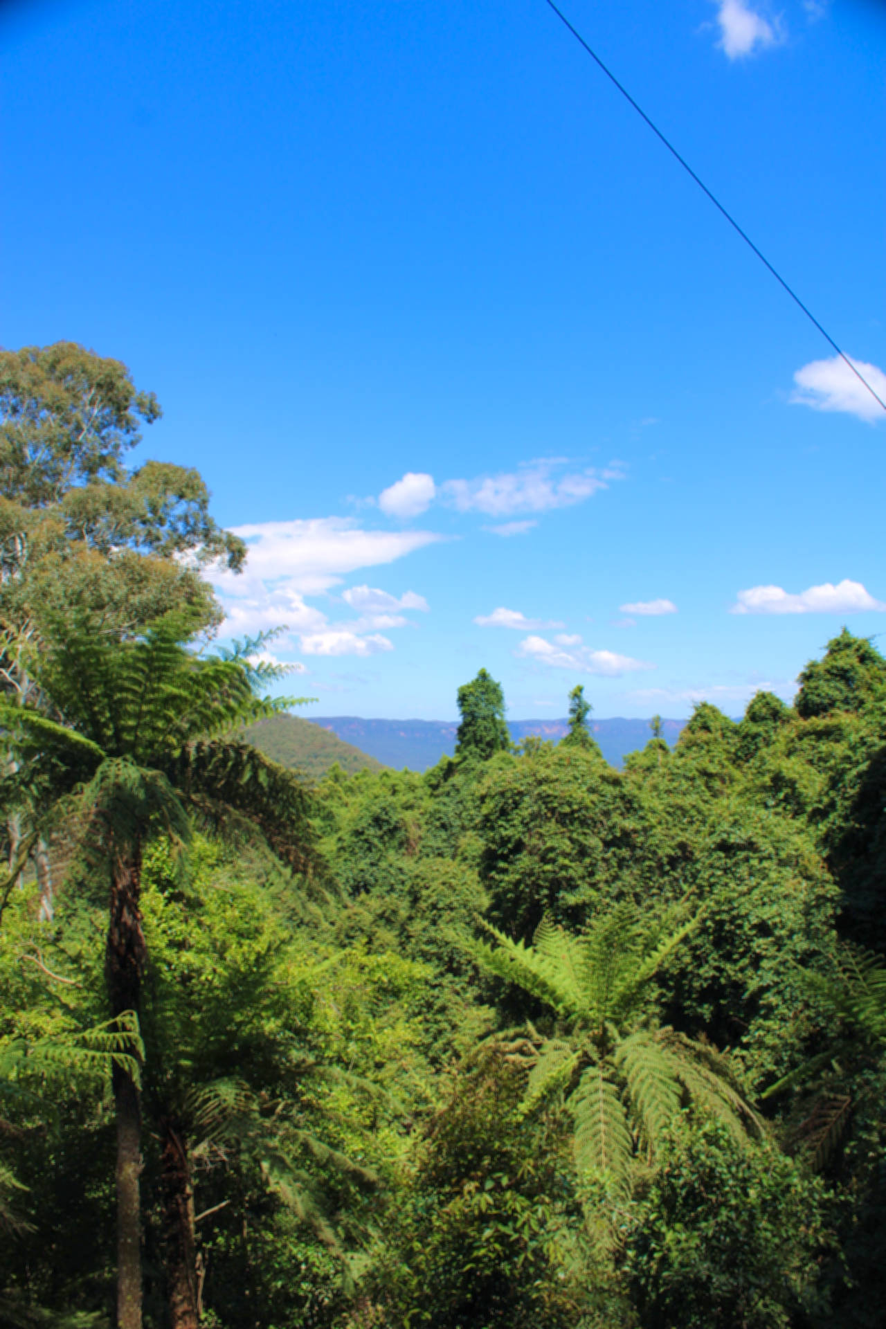 Katoomba: Lyrebird Hop-On Hop-Off and Scenic World Pass - Image 3