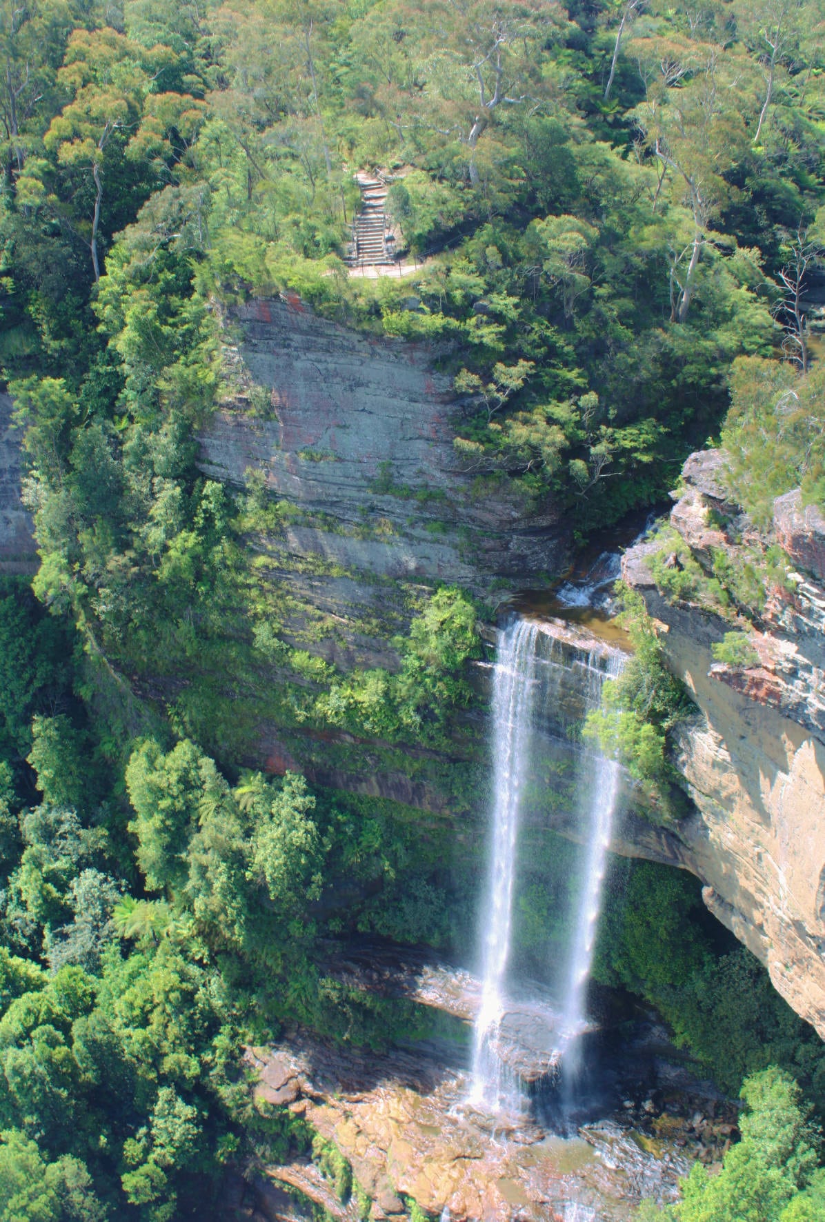Katoomba: Lyrebird Hop-On Hop-Off and Scenic World Pass - Image 4