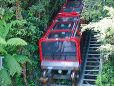 Scenic World in the Blue Mountains
