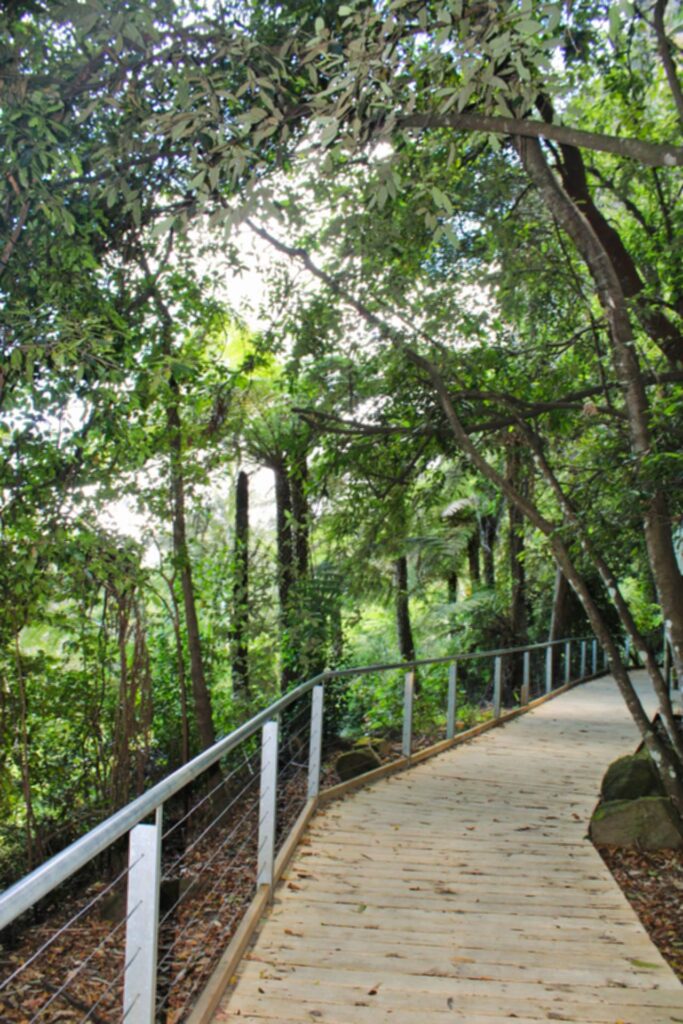 Scenic World in the Blue Mountains