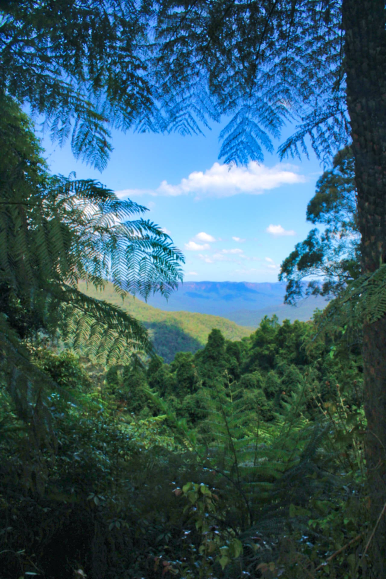 Katoomba: Lyrebird Hop-On Hop-Off and Scenic World Pass - Image 6