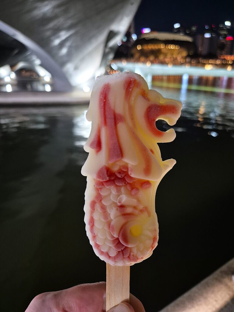 9 hour layover in Singapore