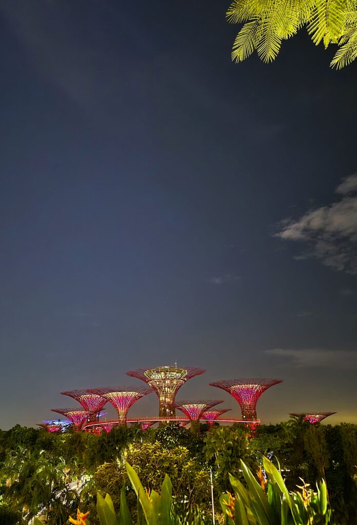 9 hour layover in Singapore