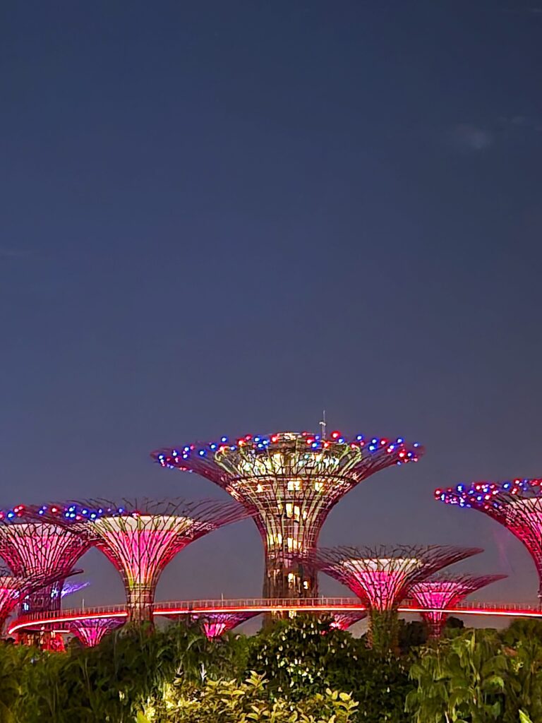 9 hour layover in Singapore