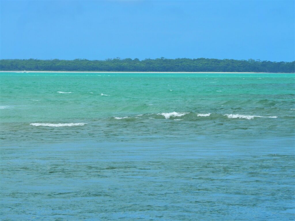 Things to do in Jervis Bay