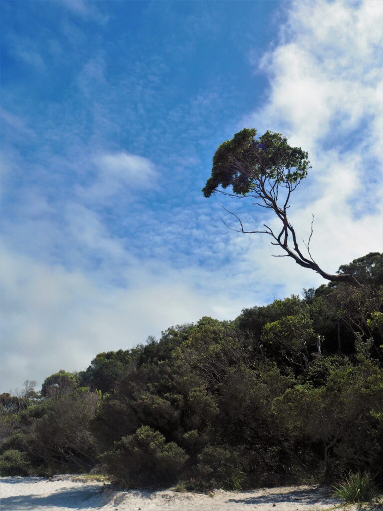 Things to do in Jervis Bay