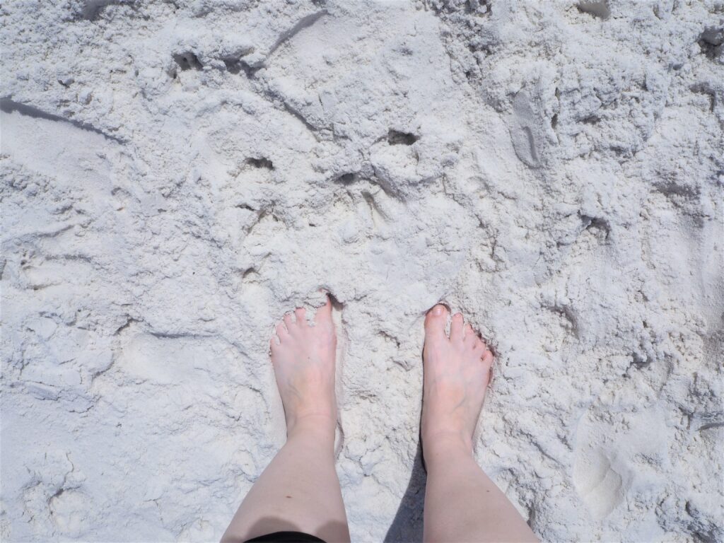 Things to do in Jervis Bay