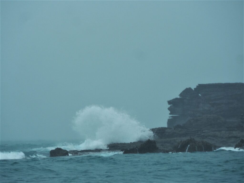 Things to do in Jervis Bay