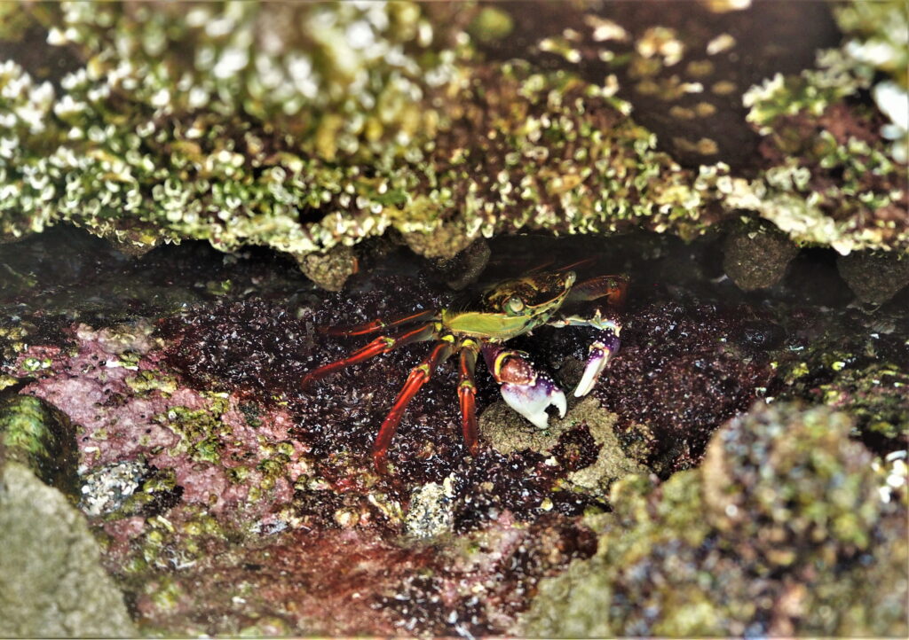 Things to do in Jervis Bay