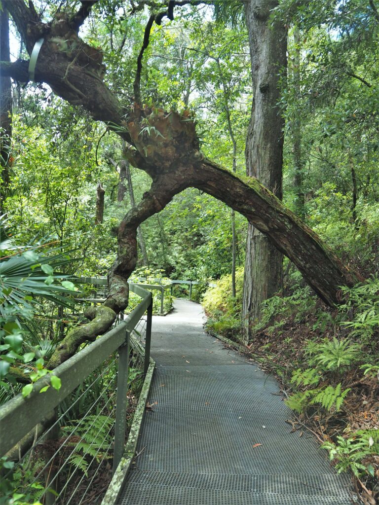 Things to do in Jervis Bay