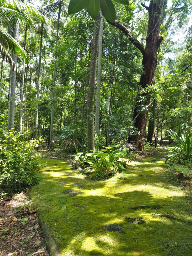 Things to do in Jervis Bay