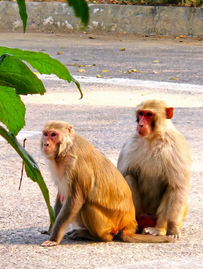 24 hours in Agra